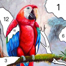 دانلود نسخه جدید Paint By Number