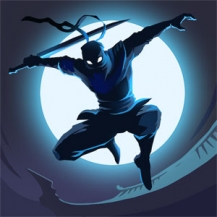 دانلود آخرین نسخه Shadow Knight