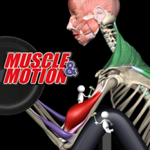 دانلود کاملترین و جدیدترین نسخه Strength Training دانلود کاملترین و جدیدترین نسخه Strength Training