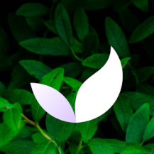 دانلود نسخه جدید Deep Meditate برای اندروید