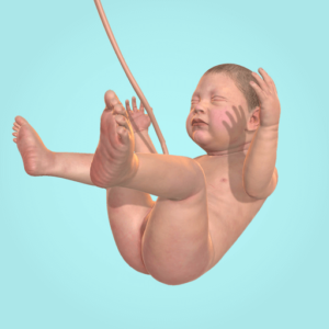 نسخه جدید و آخر 9 Months برای اندروید نسخه جدید و آخر 9 Months برای اندروید