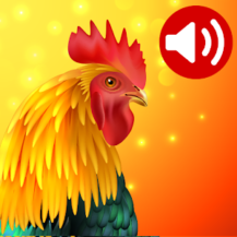 آخرین نسخه ــ کاربردی Animals: ringtones آخرین نسخه ــ کاربردی Animals: ringtones