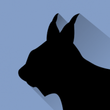 دانلود آخرین نسخه Lynx Launcher