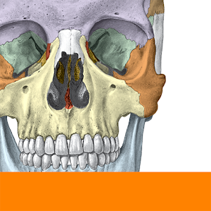دانلود نسخه جدید و آخر Sobotta Anatomy دانلود نسخه جدید و آخر Sobotta Anatomy